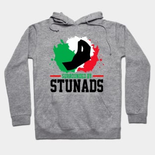 Surrounded By Stunads Hand Gesture Funny Italian Meme, funny Italian Phrases Gift Hoodie